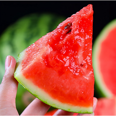 [재구매율1위] 마지막가격 꿀즙뚝뚝 하우스수박 정품, 1박스, 6kg 미만