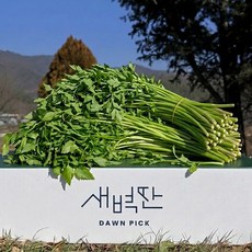 청도 한재 미나리, 1박스, 500g