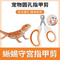 寵物蜥蜴專用指甲剪套裝 爬宠修剪指甲剪 蜥蜴指甲刀 鬃獅蜥守宮小寵用品, 1個, 小寵圓孔指甲剪【配銼刀】