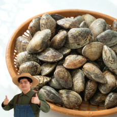 천유작 국산 남해안 활 깐 바지락살, 1개, 250g 깐 바지락살