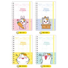 아이비스 에비츄PP밴드스케줄플래너 EB10909 8p, 랜덤 발송, 1세트