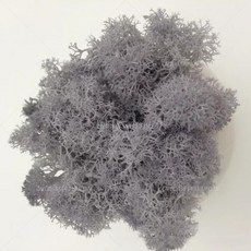 인공 녹색 식물 영원한 생명 DIY 잔디 홈 룸 미니 가짜 50g, 20)10g, light gray