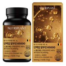 뉴트리플랜트 특허받은 단백업 알부민 초고함량 65000 난백분 영양 100% 식약청 인증 추천, 1개, 120정
