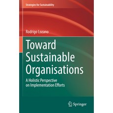 (영문도서) Toward Sustainable Organisations: A Holistic Perspective on Implementation Efforts Paperback, Springer, English, 9783030996789