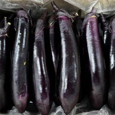 가지 1kg, 본상품