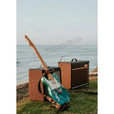 현대 음악 일렉트릭 러스틱 정물화 포스터 인쇄 캔버스 그림 벽 예술 사진 홈 데코, 08 30X40cm Unframed, 11 7, 한개옵션2