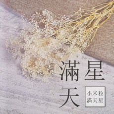 小米粒滿天星乾燥花 迷你花朵 永生花 居家裝飾 DIY手工藝品 婚禮生日禮物, 米白色,小把分裝1/4, 米白色