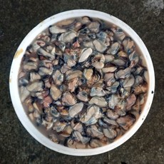 급냉 홍합살 400g, 1개