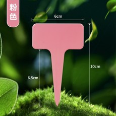合作社阿姨 植物標籤插牌組，園藝標示好幫手，多肉花卉適用, 粉紅色