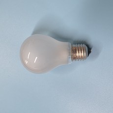 백열전구 220V 100W 불투명 전구색 E26, 1개
