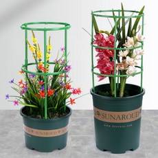 바이탈씨드 원예용 원형 식물지지대 세트, 2개