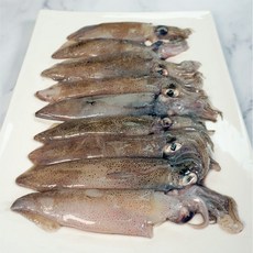 숙회용 대왕 꼴뚜기 급냉 호래기 요리용 무침 반찬요리 오징어 쭈꾸미, 2개, 꼴뚜기 300g