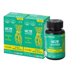 일양약품 바디팻 녹차 카테킨, 2개, 56정