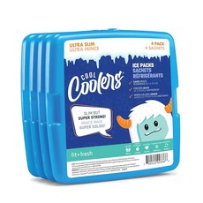 핏 앤 프레시 쿨러 아이스팩 4개