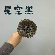 花藝夢 向日葵索拉 8公分 5支 高品質索拉 擴香花 乾燥花 永生花 不凋花 畢業花束 向日葵 大朵向日葵, 星空黑, 星空黑