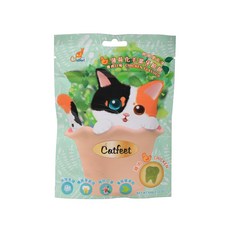 Catfeet 呼嚕愛乾淨 薄荷化毛潔牙餅 雞肉口味, 60g, 1個, 雞肉口味 CHICKEN FLAVOUR