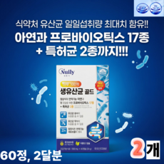 뉴일리 프로바이오틱스 골드 밸런스 식물성캡슐 복합 건강기능식품 60캡슐, 2개, 60정