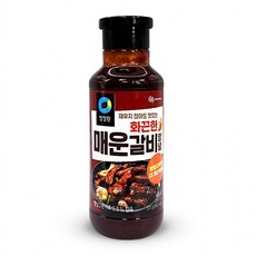 청정원 재우지 않아도 맛있는 매운 갈비 양념 500g, 1개, 1ml