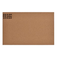 이케아 메모판 코르크 압핀15개 포함 52x33 플뢴사