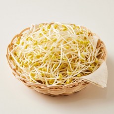 [마이프레시] 무농약 콩나물 1kg, 없음, 1개