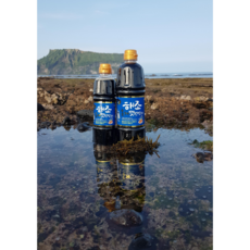 해조 홍게 맛간장소스 900ml 1병 (제주톳), 1개