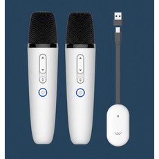 테슬라 전용 차량용 무선 마이크 T1-Car (모델3 Y X 사이버트럭) USB A/C 수신기 포함, 화이트, 마이크 1개+수신기