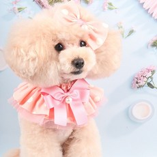 팝앤퍼피 베리 러블리 강아지 케이프 M, 핑크, 1개