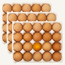 난각번호1번 무항생제인증 안심 유정란 구운계란 대란, 1개, 60구