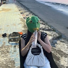 가면 초록 물고기 얼굴