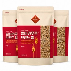 발아카무트 1kg, 3개, 상세페이지 참조