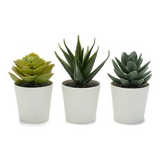 이케아 인조다육이 미니화분 3P세트 사무실 촬영 테이블 인테리어조화 플랜테리어소품 다육이선물 미니조화 사무실책상인테리어 어린이집다육이, 1개