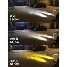 U6 專用 魚眼霧燈總成 三色LED 三段可切換, 1個, 雙芯3色LED