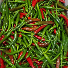 국내산 밀양 혼합 반홍 청양고추, 1세트, 1kg