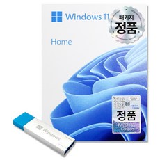 윈도우11 Windows 11 HOME 가정 및 처음 사용자용 (FPP USB) (한국 정품), Home [FPP(USB)]