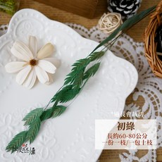 極度花燥 小盼草 乾燥花材 60-80公分 噴金, 乾燥小盼草,初綠,一枝