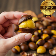 칼집 약단밤 25년산 프리미엄 골드 햇단밤 /당일칼집 당일배송, 1개, 3kg