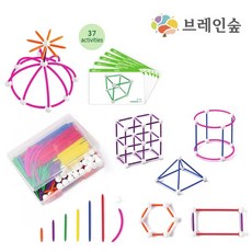 브레인숲 지오돔 기하330