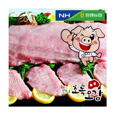 함평농협만나초록오감 등심, 500g 잡채용, 1개