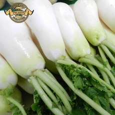 [실패없는 프리미엄 절임 알타리] 국내산 햇 알타리 절임 전날 절임 배송 햇 천일염으로 절임, 1박스, 로얄 절임 햇 알타리 6kg