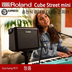 멀티 인스트루먼트 소형 앰프 (CUBE-ST-MI), AC 어쿠스틱 우드 스피커