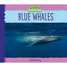(영문도서) Blue Whales Library Binding, Big Buddy Books, English, 9781532116193
