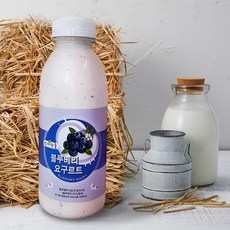 산에 핀들 블루베리 요구르트, 1개, 450ml