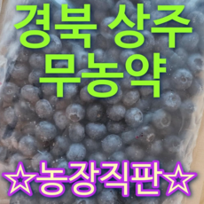 [직판] 경북 상주 무농약 냉동 블루베리, 소과 냉동 1kg