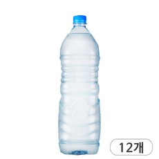 지리산 산청 샘물 화이트 생수 2L 무라벨, 12개
