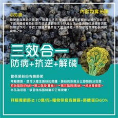 萬遠海研社 拜賴青黴菌 三效合一活菌 活化土壤 促進養分吸收 強化植物生長, 1個, 50克 / 鋁箔遮光夾鏈袋