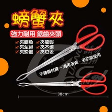 《廣成釣具》配件【不鏽鋼夾】螃蟹夾 木炭夾 垃圾夾 趕海夾 龍蝦夾 鰻魚夾 鱔魚夾 淨灘夾 釣魚 抓螃蟹, 1個