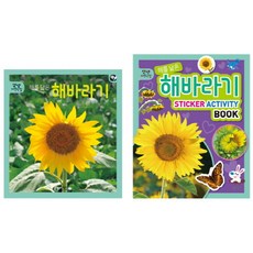 해를 닮은 해바라기 세트, 블루래빗