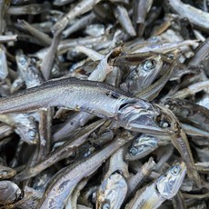 신건호멸치 조림/육수용 중멸치(상급) / 안주멸치 국물멸치, 500g, 1개