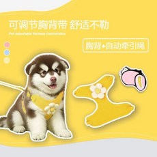 小型犬寵物揹帶牽引繩 泰迪比熊博美幼犬適用 透氣舒適遛狗外出必備 可調節安全胸背帶 #黃色+3米自動牽引繩 #M建議4-10斤, 黃色+3米自動牽引繩, 1個