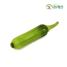 밥상에 빠질수 없는 애호박 5개